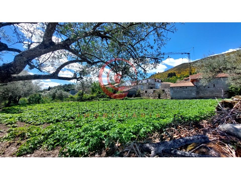 Helårsgrund i Chaves, Vila Real - foto 4