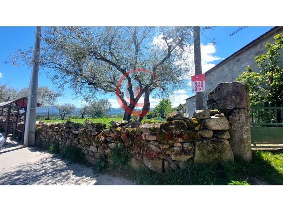 Helårsgrund i Chaves, Vila Real - foto 5
