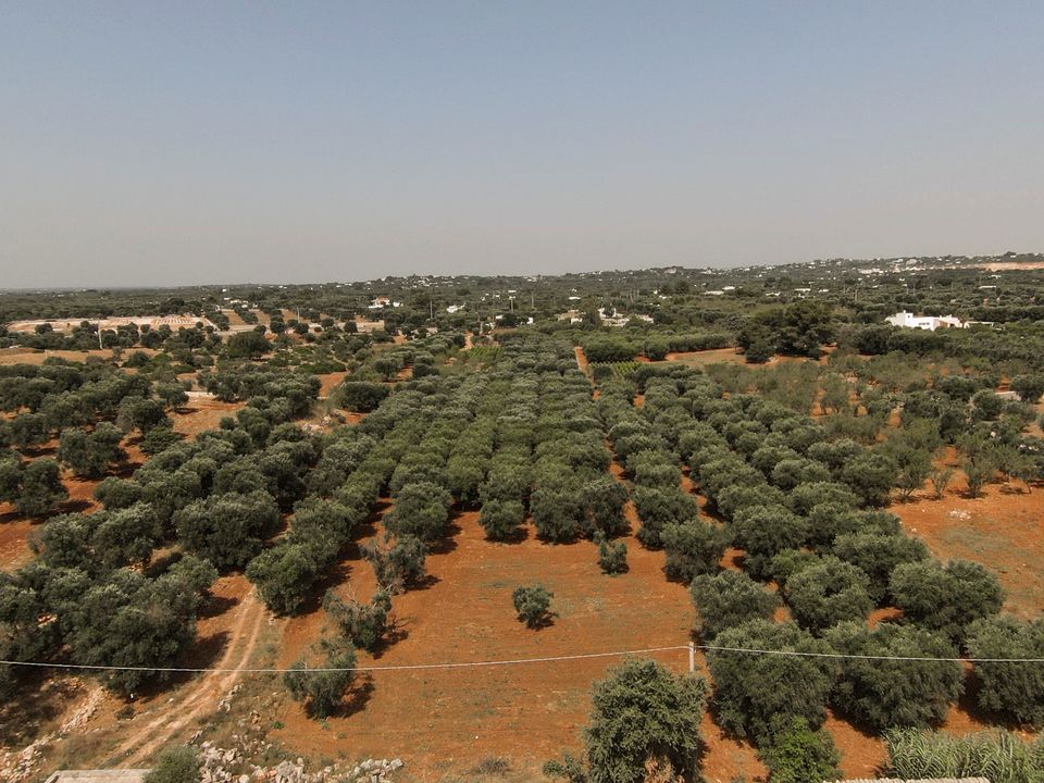 Helårsgrund i Ostuni, Brindisi - foto 1