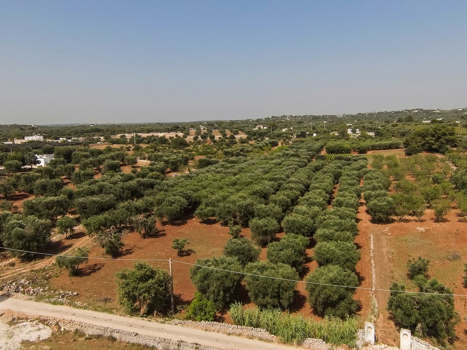 Helårsgrund i Ostuni, Brindisi - foto 2