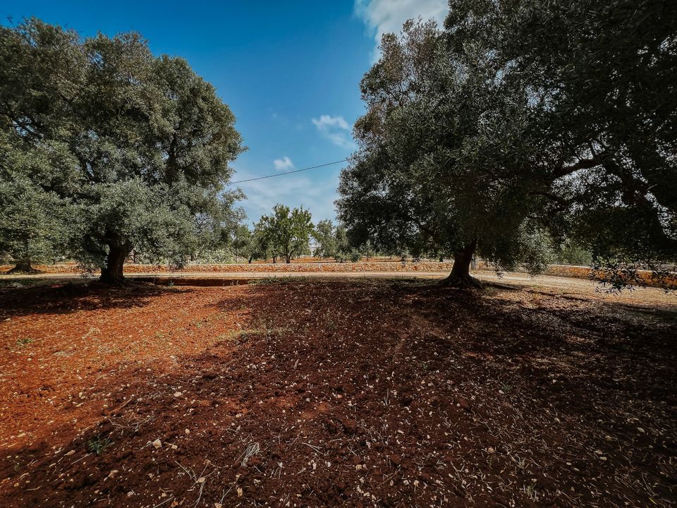 Villa i Carovigno, Brindisi - foto 3