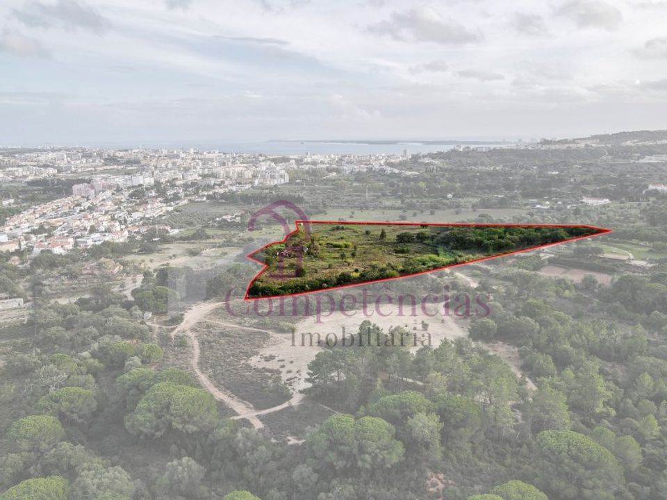 Granja a Setubal, Setubal - foto 5