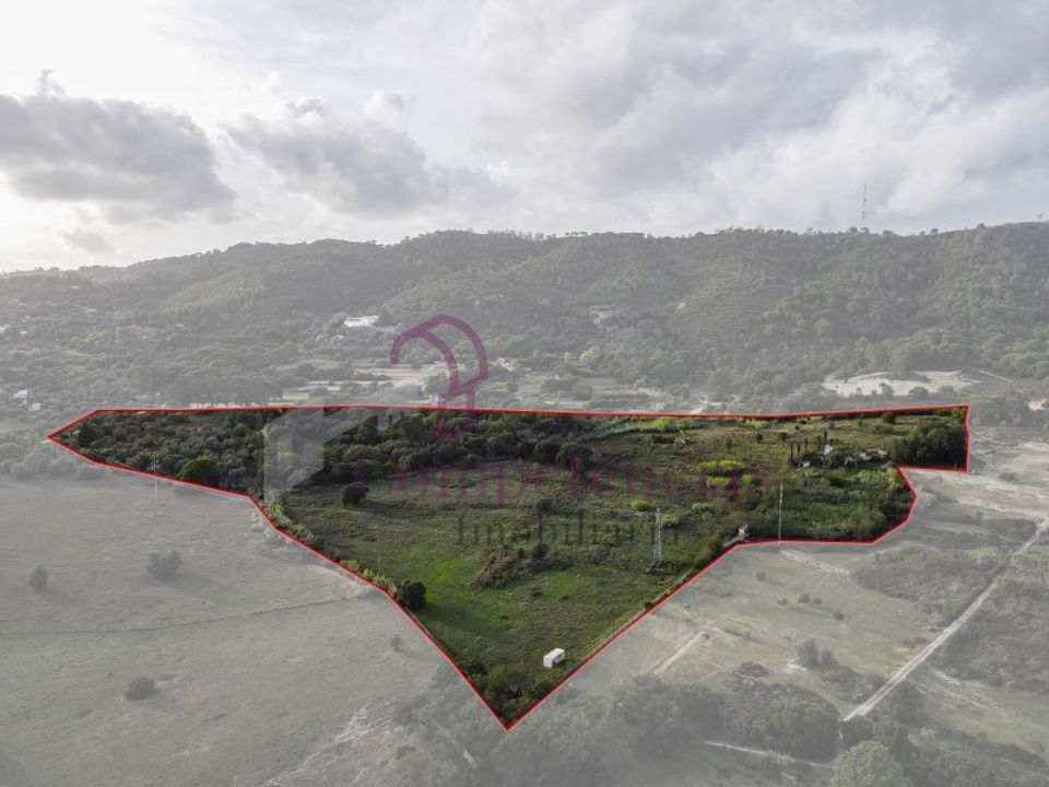 Granja a Setubal, Setubal - foto 4