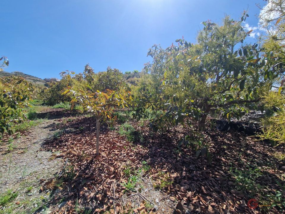 Finca i Molvizar, Granada - foto 5