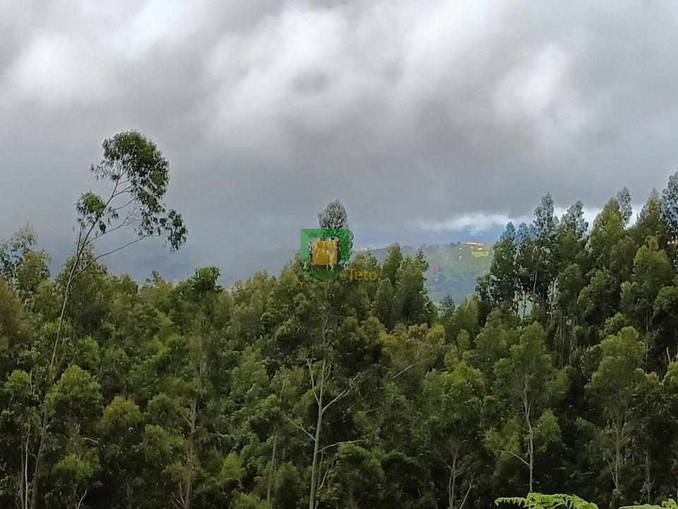 Helårsgrund i Santa Cruz, Madeira - foto 3