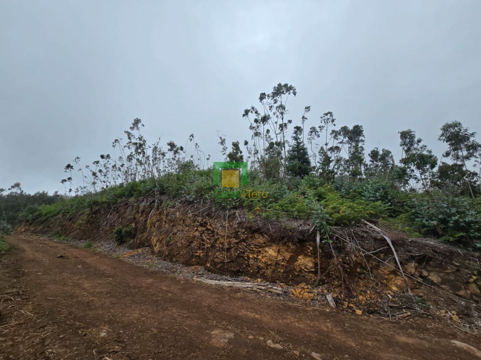 Helårsgrund i Santa Cruz, Madeira - foto 1