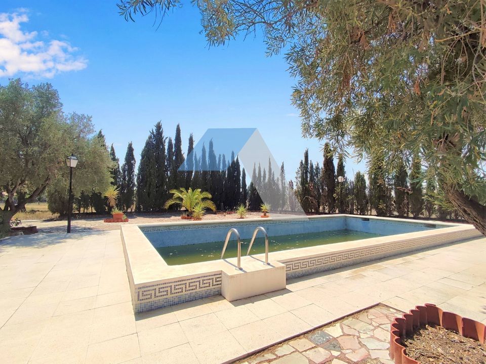 Villa in San Vicente Del Raspeig, Alicante - foto 2