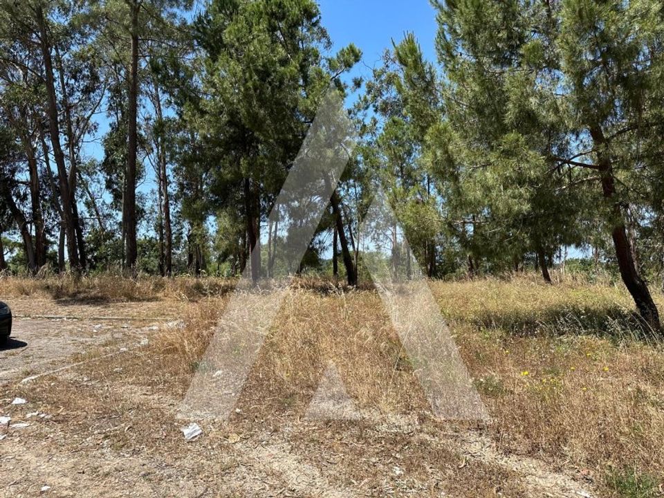 Helårsgrund i Brejos de Azeitao, Setubal - foto 2