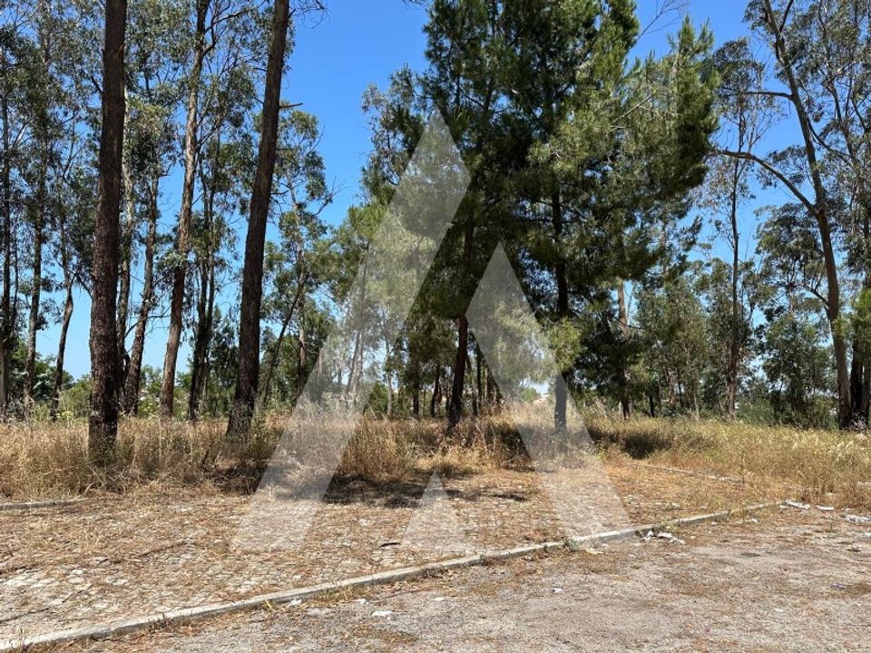 Helårsgrund i Brejos de Azeitao, Setubal - foto 1