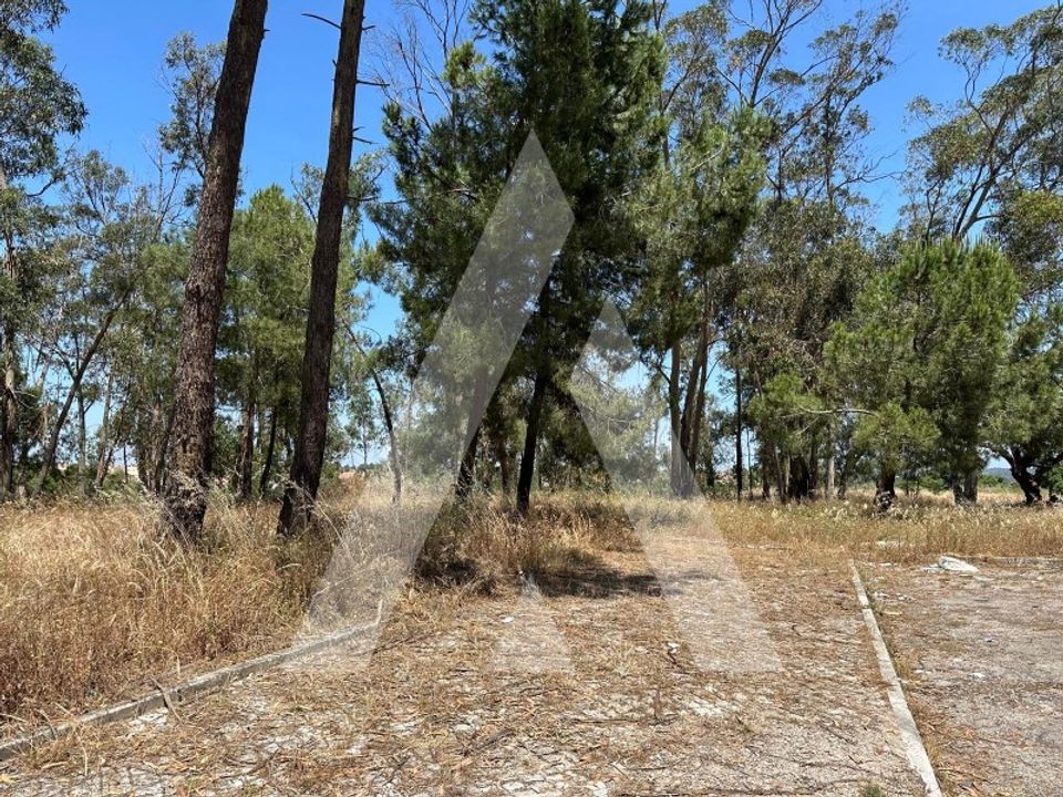 Helårsgrund i Brejos de Azeitao, Setubal - foto 5