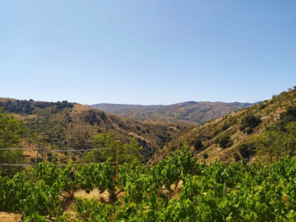 Cortijo i Castaras, Granada - foto 1
