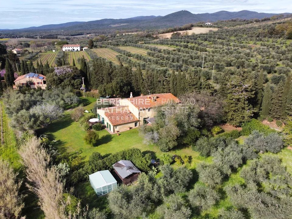 Villa em Castagneto Carducci, Livorno - foto 5