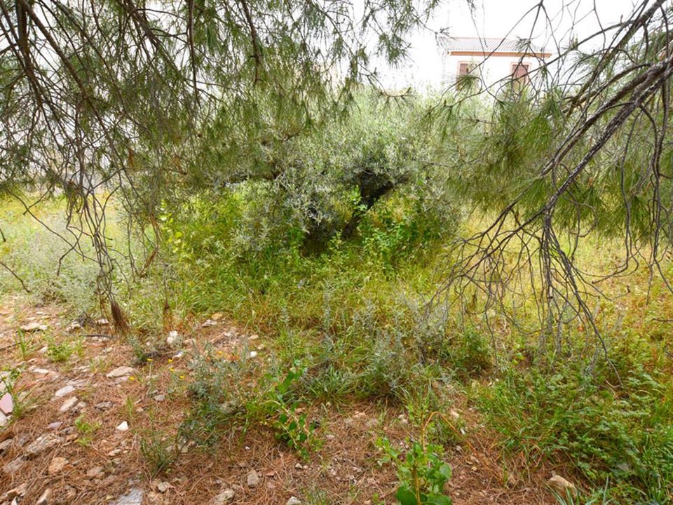 Helårsgrund i Guazamara, Almeria - foto 5