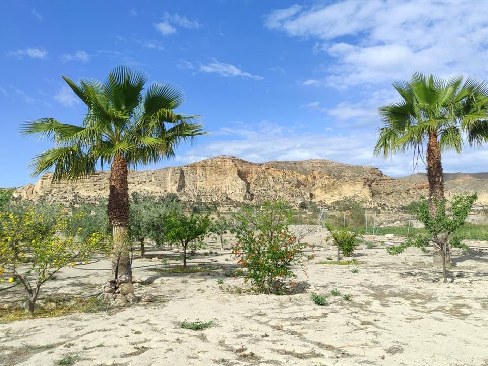 Helårsgrund i Cuevas del Almanzora, Almeria - foto 1