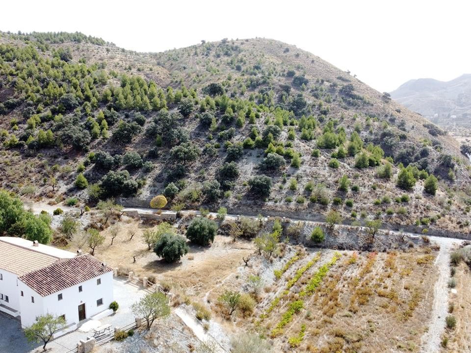 Villa i Taberno, Almeria - bilde 4