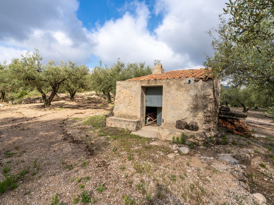 Finca i Mas De Barberans, Tarragona - foto 1