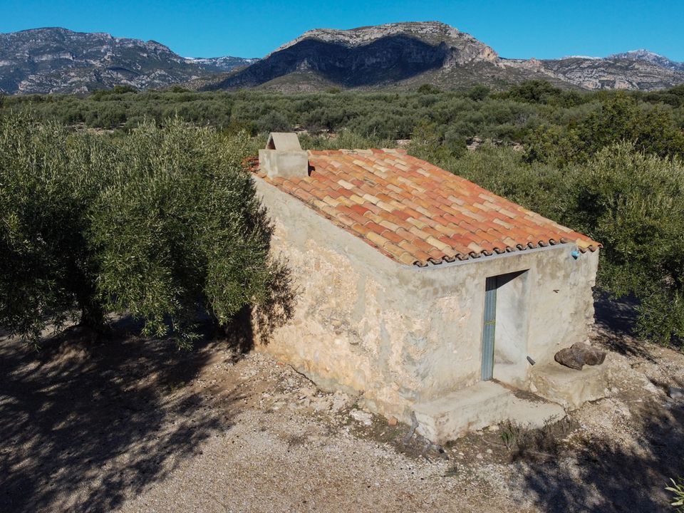 Finca i Mas De Barberans, Tarragona - foto 3