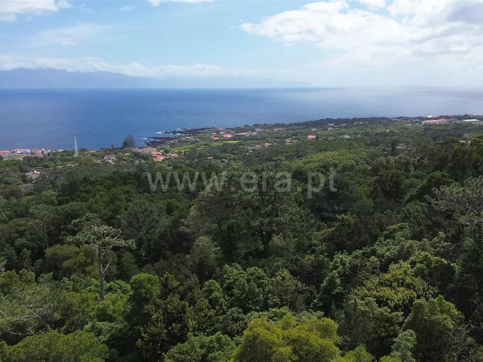 Helårsgrund i Sao Roque do Pico, Pico - foto 3