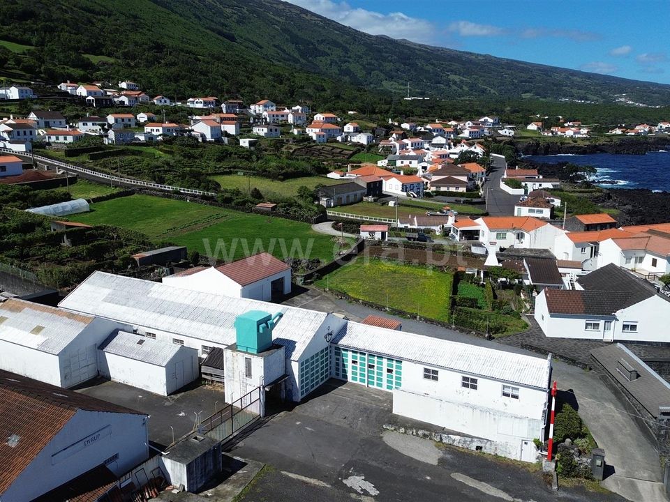 Erhvervsejendom i Sao Roque do Pico, Pico - foto 3