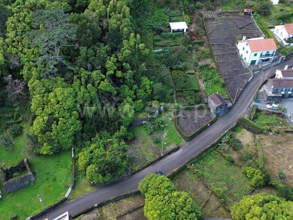 Helårsgrund i Sao Roque do Pico, Pico - foto 5
