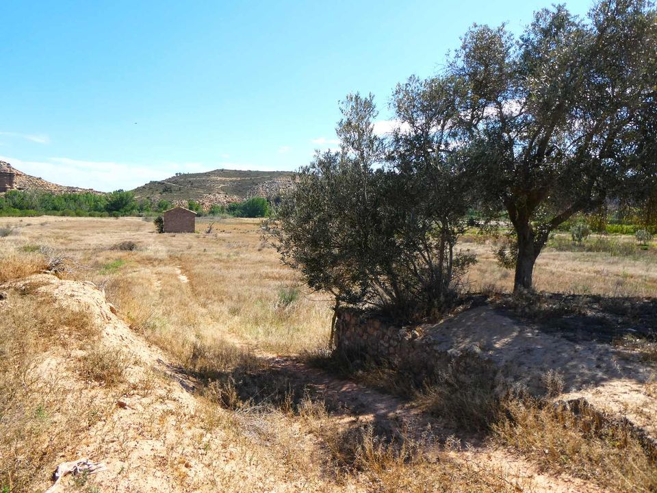 Finca i Fabara, Zaragoza - foto 3