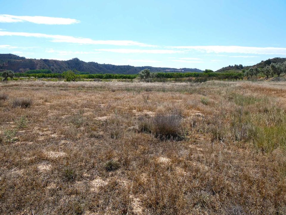 Finca i Fabara, Zaragoza - foto 5