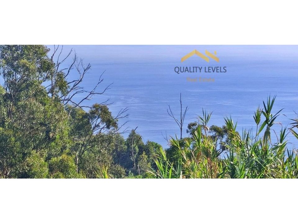 Tomt i Gaula, Madeira - bilde 1