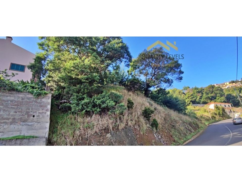 Tomt i Gaula, Madeira - bilde 2