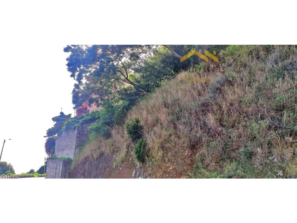Tomt i Gaula, Madeira - bilde 3