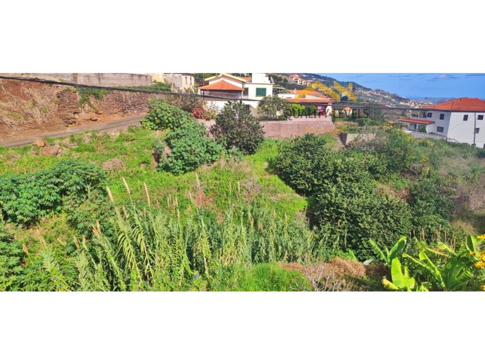 Tomt i Gaula, Madeira - bilde 4
