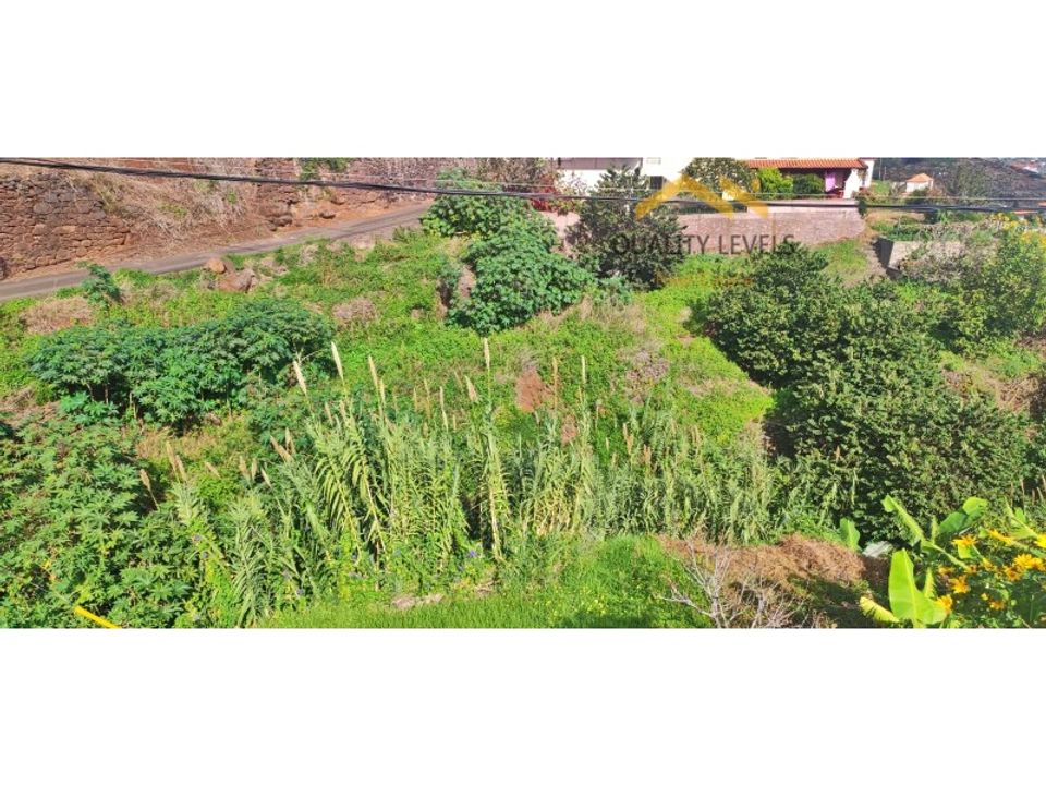 Tomt i Gaula, Madeira - bilde 5