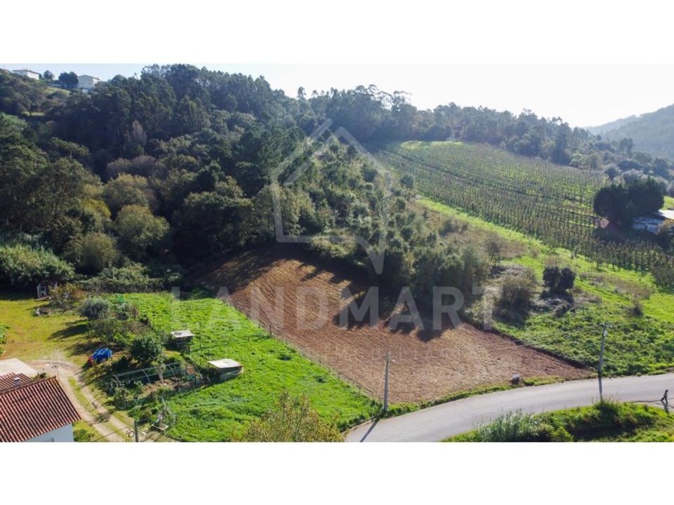 Terra a Turquel, Leiria - foto 2