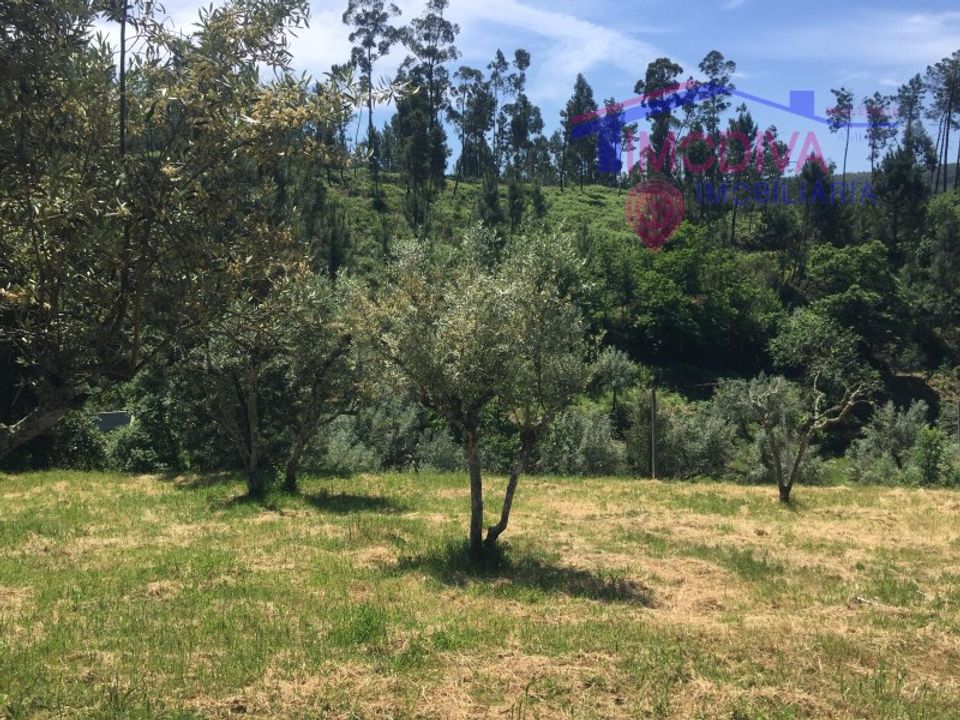 Helårsgrund i Carvalhal, Castelo Branco - foto 2