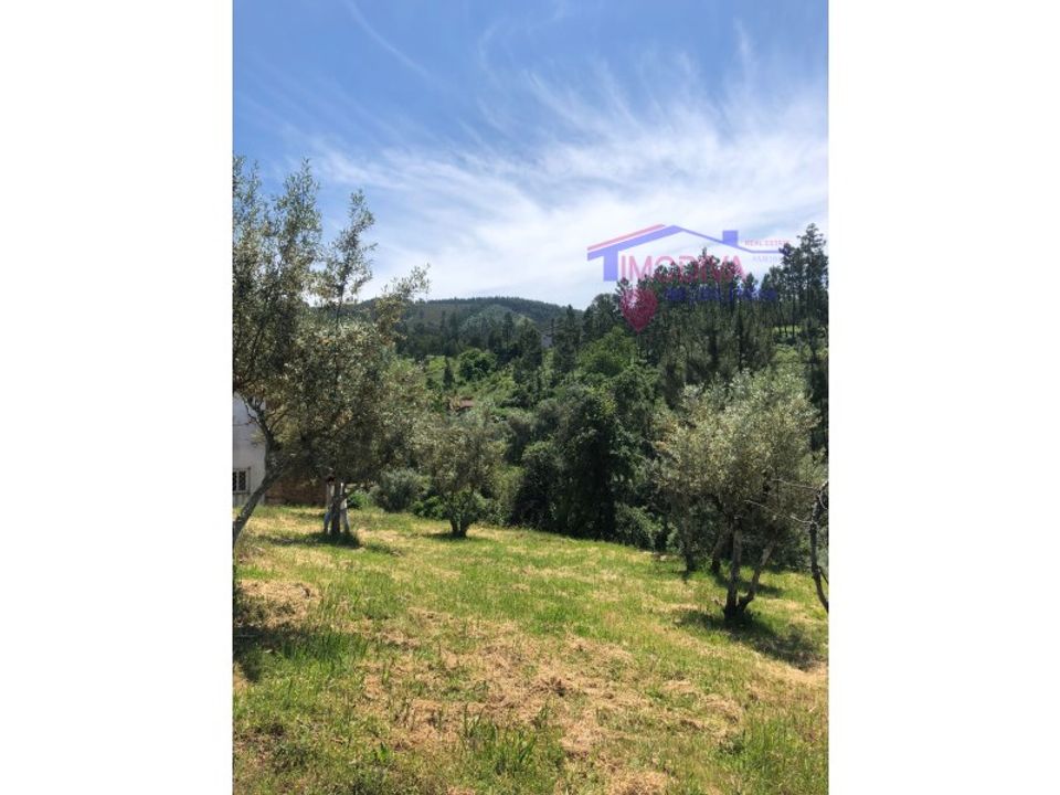 Helårsgrund i Carvalhal, Castelo Branco - foto 4