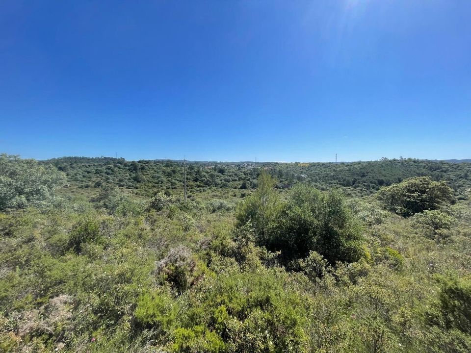 Helårsgrund i Tomar, Santarem - foto 1
