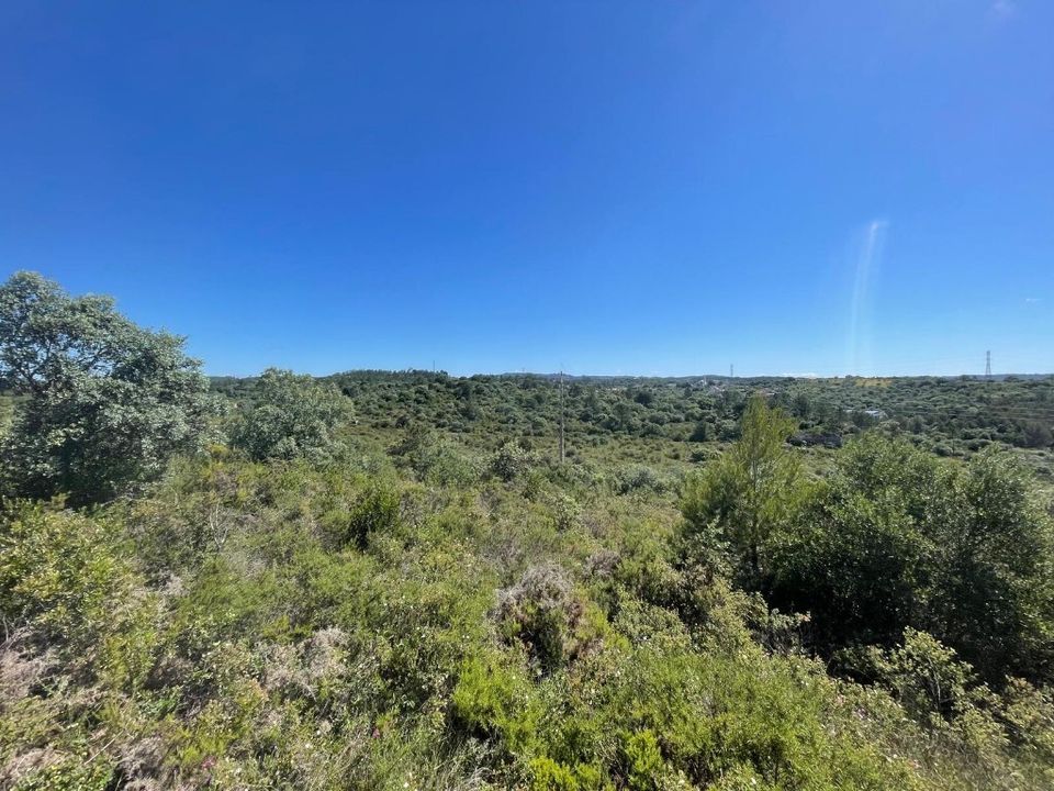 Helårsgrund i Tomar, Santarem - foto 2