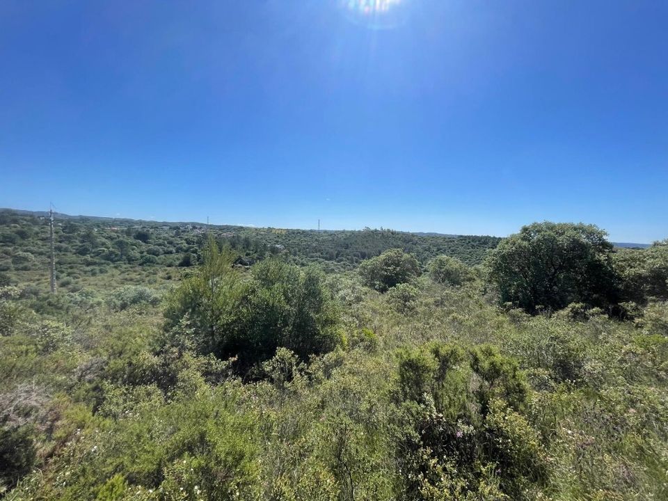 Helårsgrund i Tomar, Santarem - foto 3