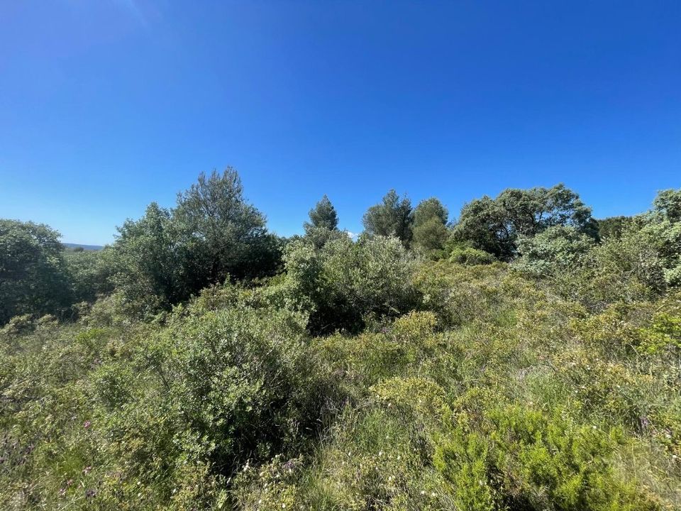 Helårsgrund i Tomar, Santarem - foto 4