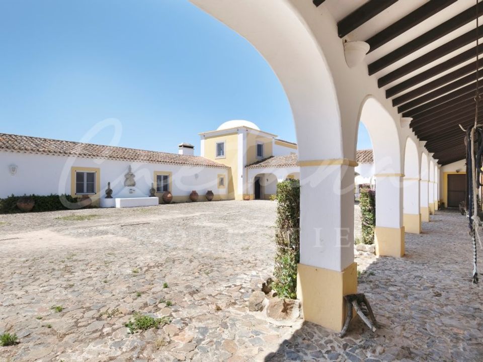 ферма в Monforte, Portalegre - фотография 3