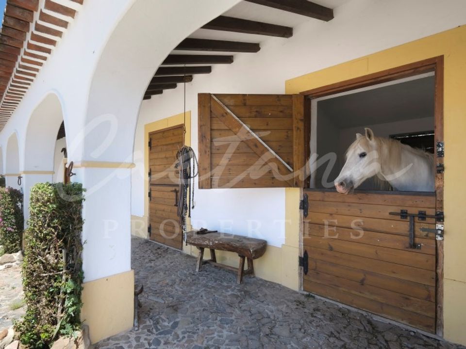 ферма в Monforte, Portalegre - фотография 5