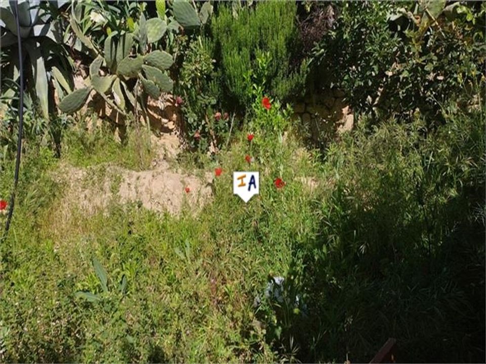 Cortijo en Frailes, Jaen - foto 5