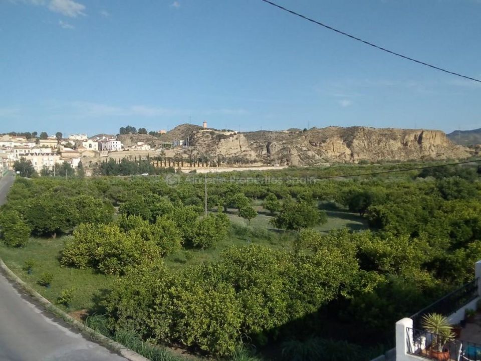 Landejendom i Arboleas, Almeria - foto 3