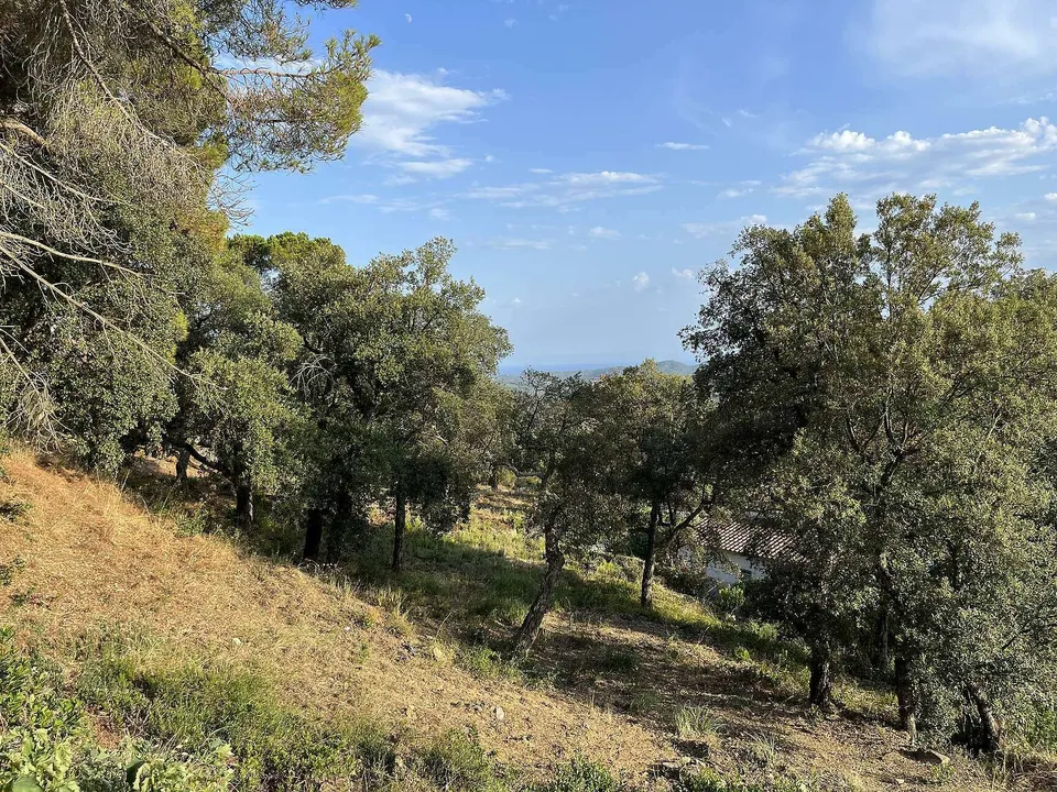 Helårsgrund i Santa Cristina D'aro, Gerona - foto 1