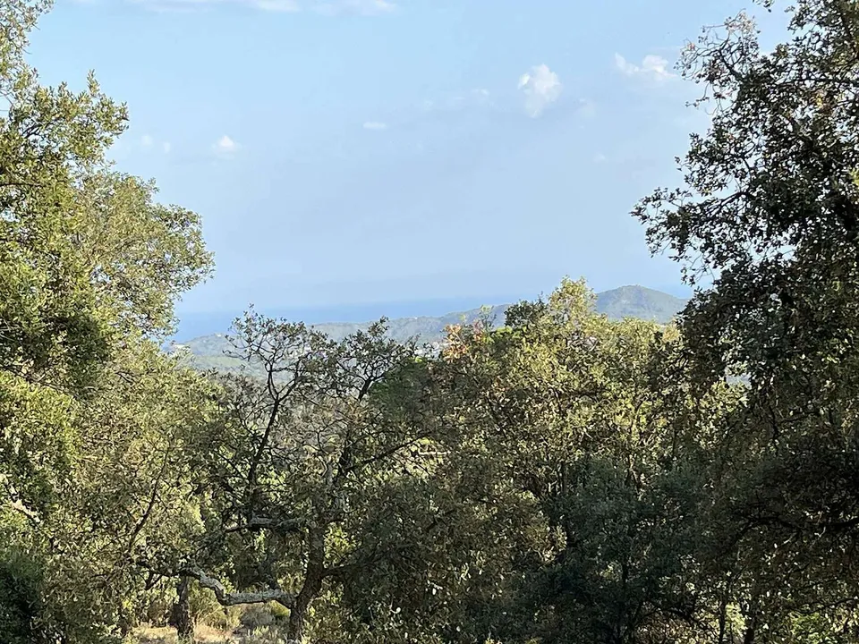 Helårsgrund i Santa Cristina D'aro, Gerona - foto 3