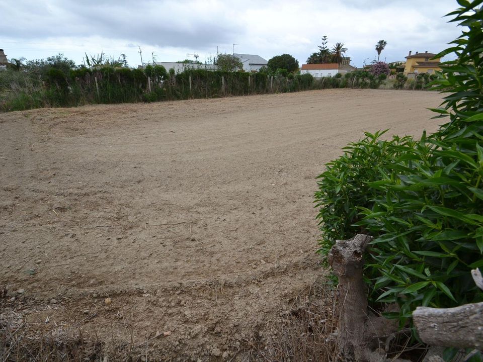 Helårsgrund i Deltebre, Tarragona - foto 2