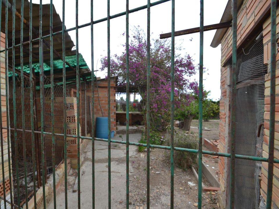 Helårsgrund i Deltebre, Tarragona - foto 4