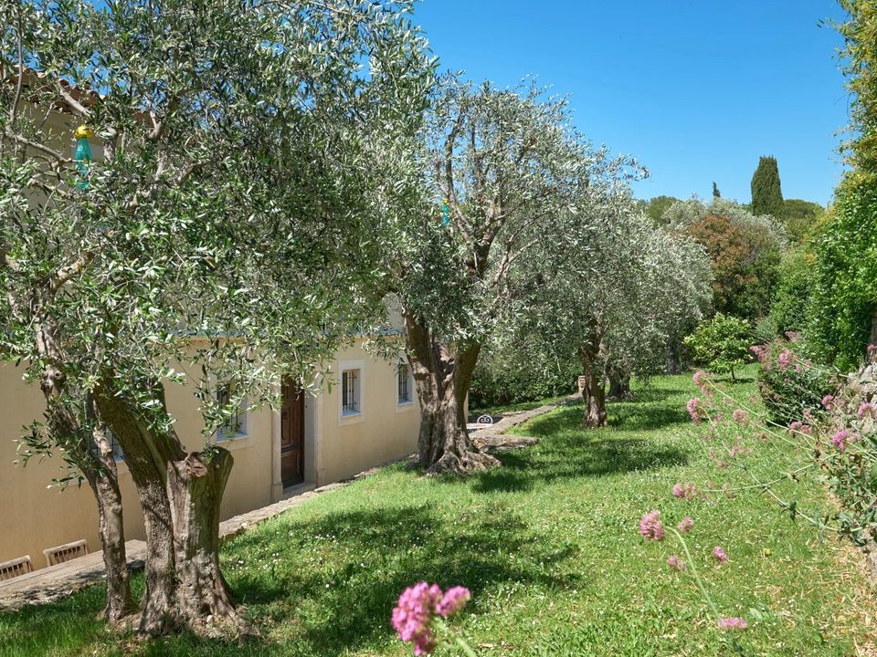 Villa i Mougins, Alpes-Maritimes - foto 3