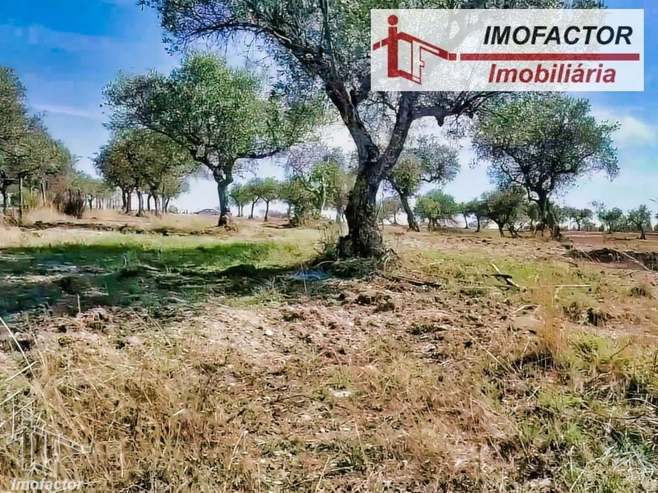 Helårsgrund i Perais, Castelo Branco - foto 4