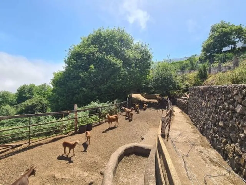 Finca i La Orotava, Tenerife - foto 3