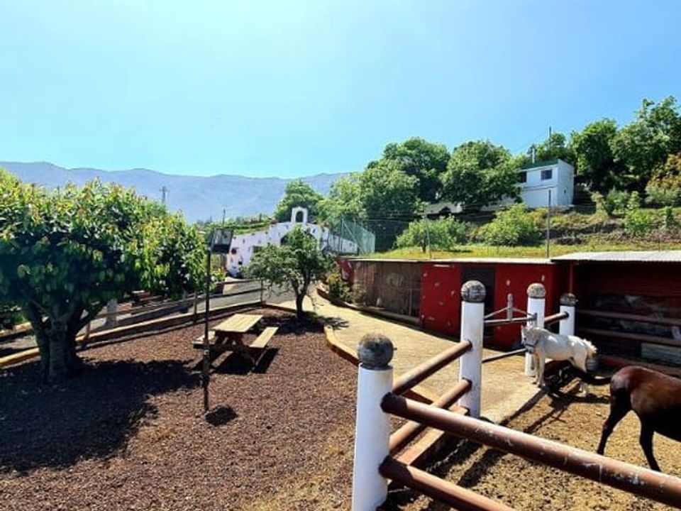 Finca i La Orotava, Tenerife - foto 5